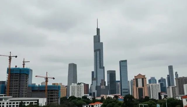 免费域名注册:企业信用查询的维护指南